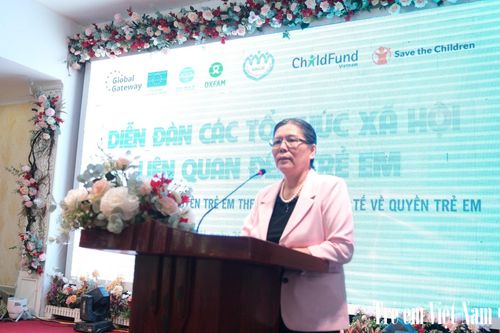 Diễn đàn các tổ chức xã hội về việc thực hiện quyền trẻ em