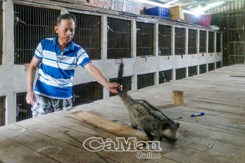 Cơ hội làm giàu bền vững cho nông dân