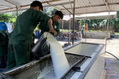 Tập đoàn Công nghiệp Cao su Việt Nam đẩy mạnh tăng trưởng xanh