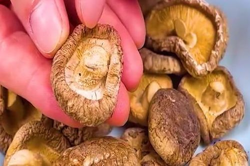 Chỉ với 1 mẹo đơn giản này, nấm hương ngâm sẽ nở to đều trong 3 phút