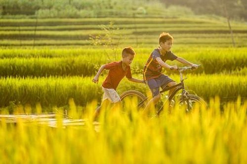 Tản văn: Anh họ tôi