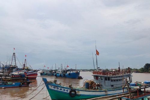 Gặp khó khăn, nhiều tàu cá nằm bờ