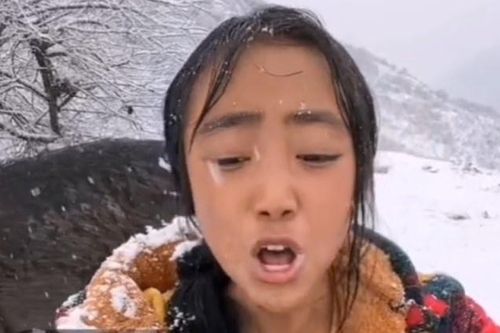 Ngồi tù vì livestream giả nghèo, giả khổ bán hàng