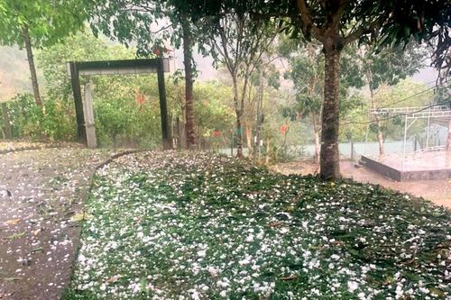 Mưa đá xuất hiện ở nhiều địa phương ở Nghệ An