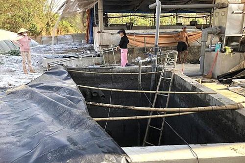 Phòng tránh ngạt khí trong hầm biogas