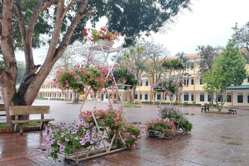 Xây dựng môi trường học tập 'xanh' nâng cao chất lượng giáo dục