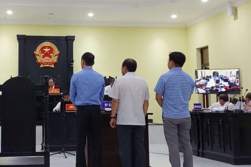 Tòa yêu cầu điều tra bổ sung vụ cha con 'thiếu gia' điện gió ở miền Tây