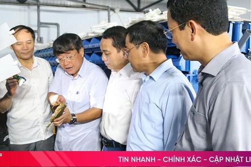 Phối hợp phát triển nông nghiệp đa giá trị trên địa bàn TP Hà Tĩnh