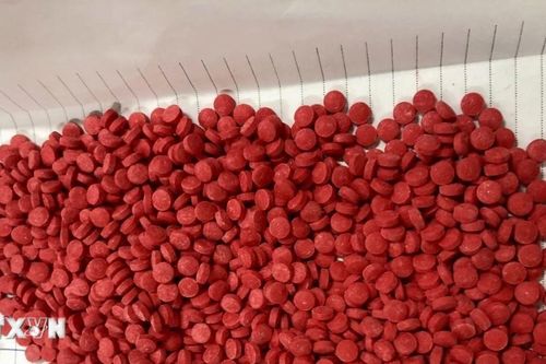 Bắt các đối tượng vận chuyển, mua bán trái phép hơn 1.300 viên ma túy