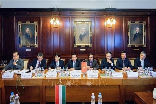 Kiểm toán Việt Nam và Hungary nhất trí tăng cường hợp tác