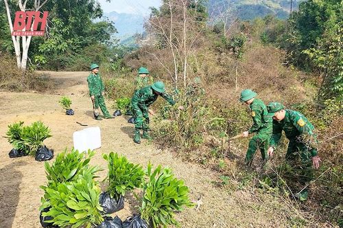 Đẩy mạnh phong trào trồng rừng, trồng cây đầu năm