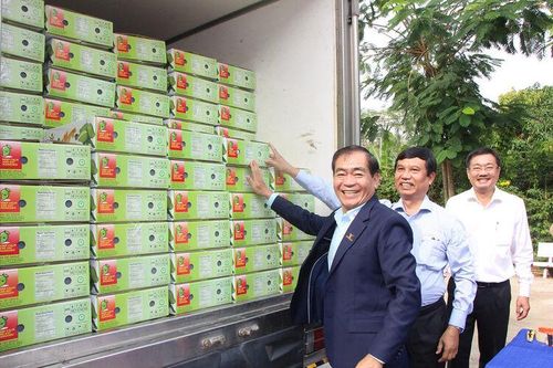 Giải bài toán xuất khẩu nông sản