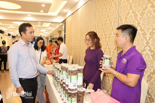 Hỗ trợ kết nối các mô hình thanh niên khởi nghiệp