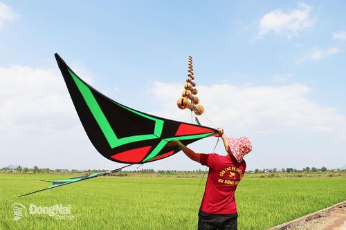 Diều sáo kết nối đam mê