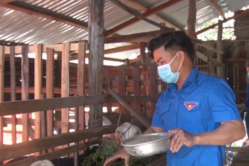Chư Pưh 'tiếp sức' cho đoàn viên, thanh niên phát triển kinh tế