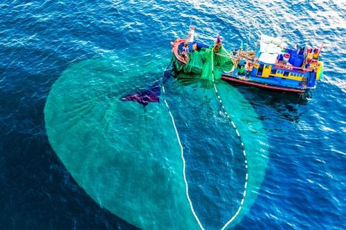 Mưu sinh trên vịnh Nha Trang