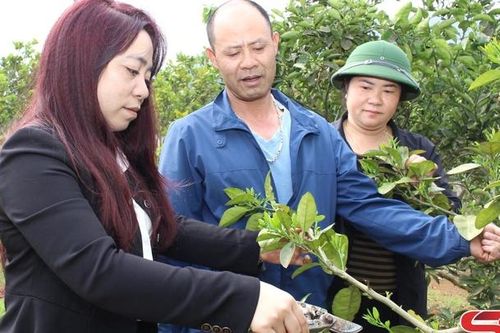 Nhịp sống mới ở Chiềng Pha