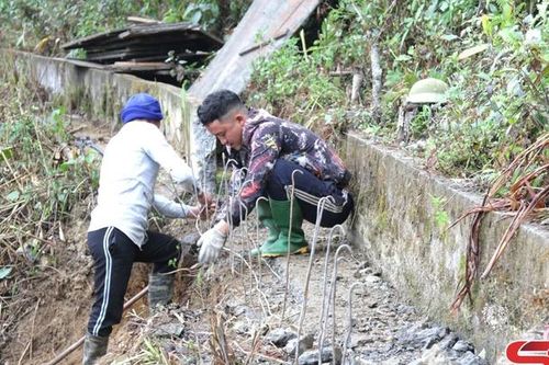 Chủ động các phương án chống hạn