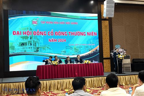 ĐHĐCĐ Đức Giang: Sáp nhập PAT