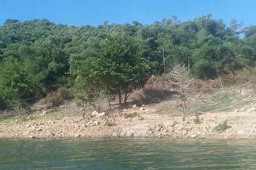 Khởi tố cựu Bí thư huyện vụ cấp 138,4 ha rừng cho gia đình