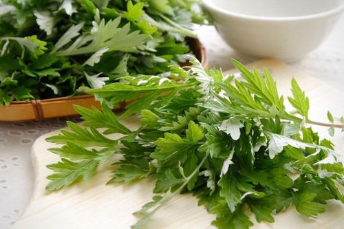 Tác dụng chữa bệnh của ngải cứu