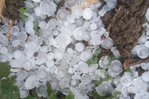 Vì sao xuất hiện mưa đá diện rộng ở nhiều địa phương?