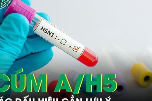 Lưu ý các dấu hiệu cúm A/H5 ở người