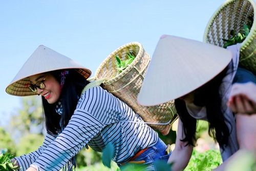 Phát triển bền vững du lịch nông nghiệp
