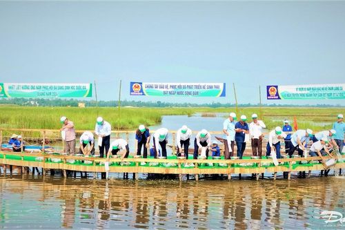 Quảng Nam: Phục hồi hệ sinh thái và đa dạng sinh học sông Đầm