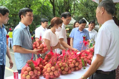 Xây dựng nông thôn mới kiểu mẫu ở Phù Cừ
