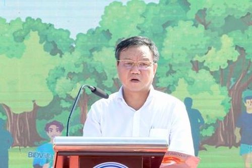 Phó Chủ tịch UBND tỉnh Phú Yên Đào Mỹ: 'Chung tay bảo vệ môi trường, hãy tặng Phú Yên món quà xanh'