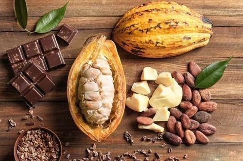 Giá ca cao thế giới đạt mức kỷ lục