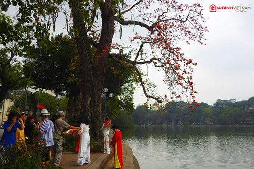 Hoa gạo trăm tuổi nhuộm đỏ góc Hồ Gươm