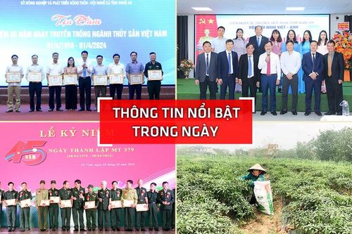 Nghệ An: Thông tin nổi bật ngày 30/3