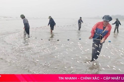 Ngư dân Lộc Hà vào mùa 'đi giật lùi'