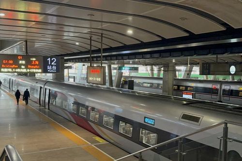 Việt Nam tìm hiểu kinh nghiệm quốc tế về xây dựng đường sắt tốc độ cao