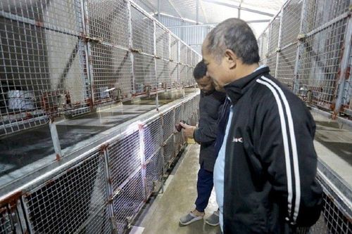 Anh nông dân thu lãi tiền tỷ nhờ nuôi con đặc sản 'thích ăn cua đồng'