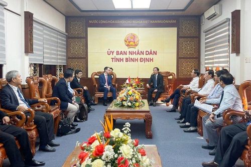 'Hội tụ' về Bình Định, đoàn tỷ phú thế giới khảo sát, đầu tư gì?