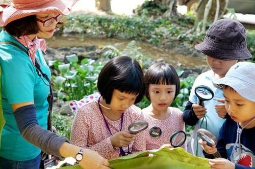 Sáng kiến 'Góp một cây là góp rừng'