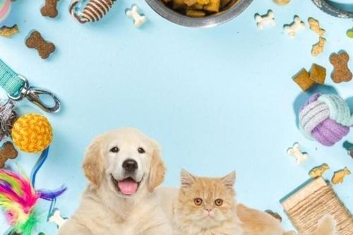 Sản phẩm cho thú cưng tràn lan trên sàn thương mại điện tử