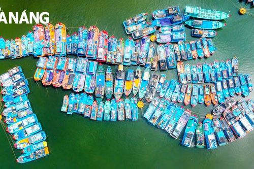 Miền ký ức cảng xưa