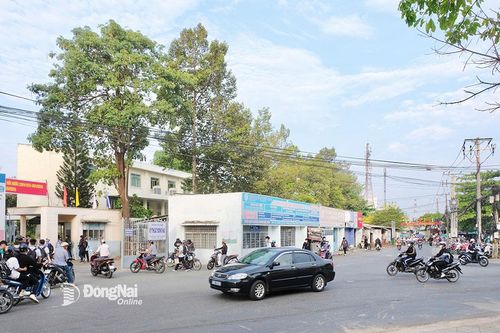 Nghe con đường kể chuyện