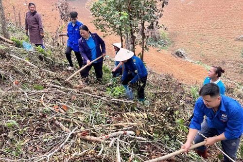 Trồng 2.000 cây xanh tại xã Chu Trinh (Thành phố)