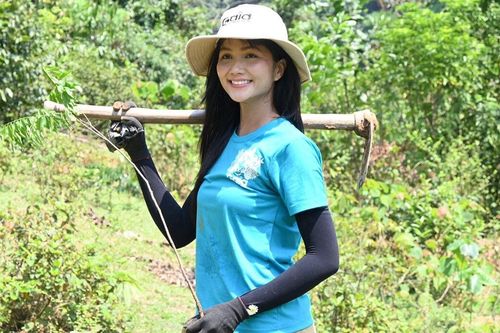 Hoa hậu H'Hen Niê trồng 1ha rừng đầu tiên cho năm 2024