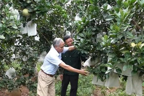 Chuyển đổi số trong xây dựng nông thôn mới