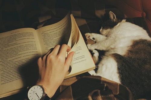 5 cuốn sách hay để đối phó với lo âu và trầm cảm