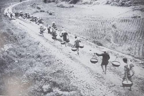 Nghệ thuật bảo đảm hậu cần cho Chiến dịch Điện Biên Phủ