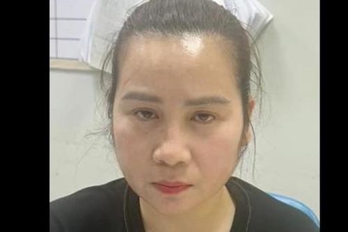 Bắt 'nữ quái' siêu lừa sau 15 năm lẩn trốn truy nã đặc biệt