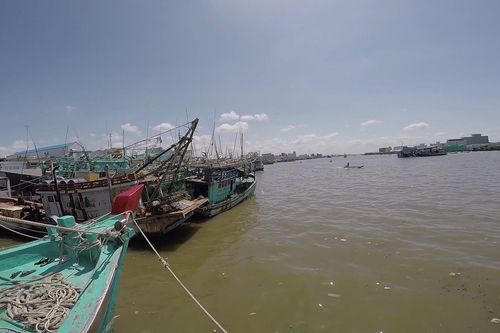 Bắt giam một cán bộ tư pháp ở Cà Mau vì hành vi nhận hối lộ