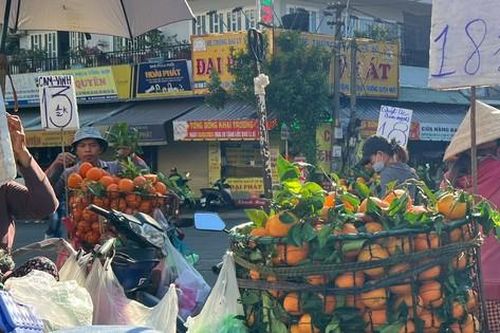 Sự thật quýt Úc tràn ngập chợ, giá siêu rẻ